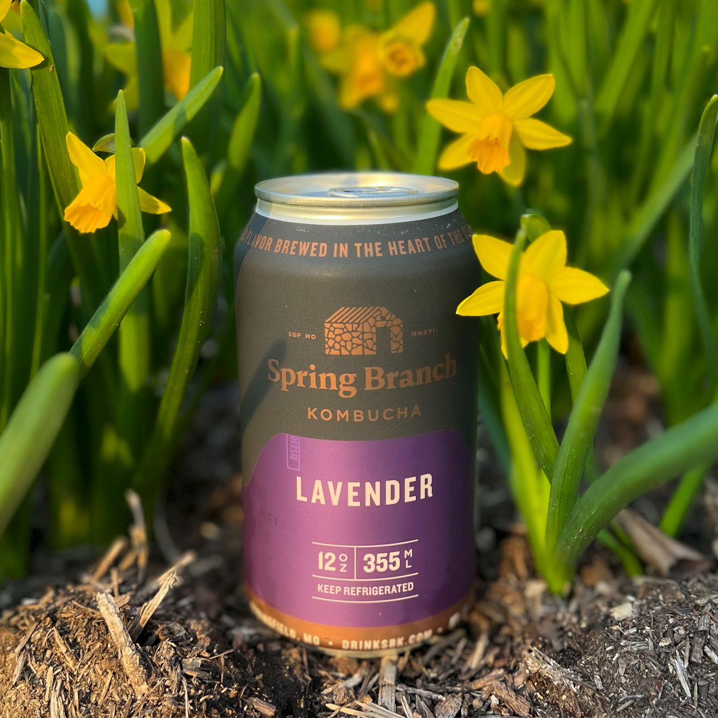 Lavender Kombucha, 12 oz