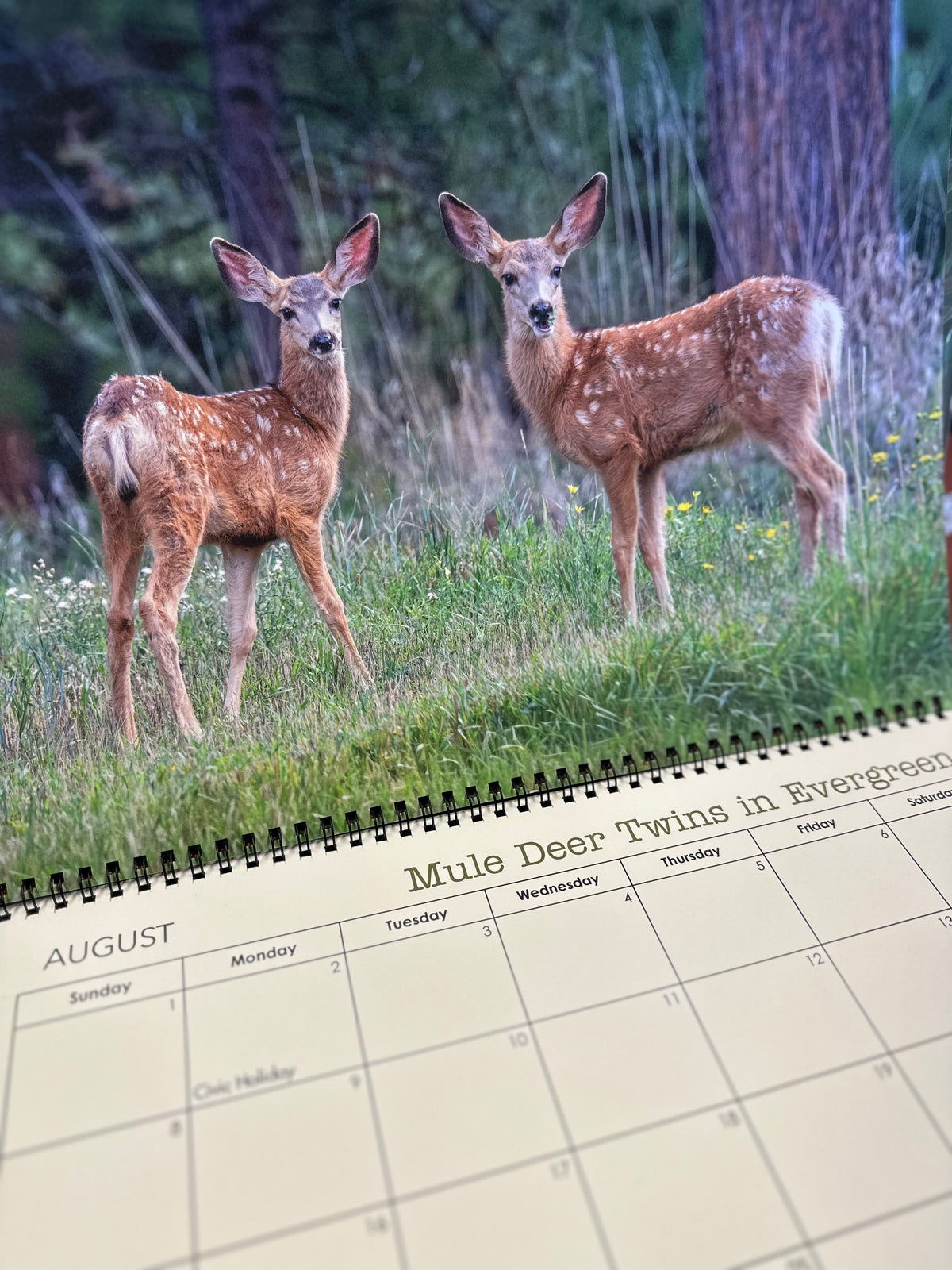 2027 Wildlife of Colorado Calendar