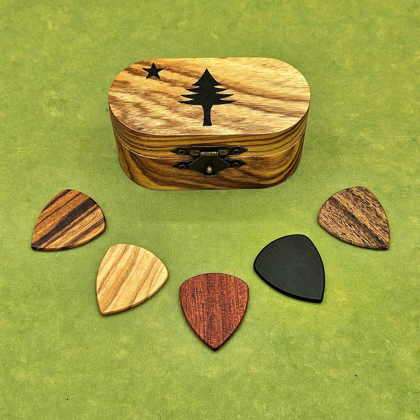 Guitar Pick Box - Oval w 5 Picks