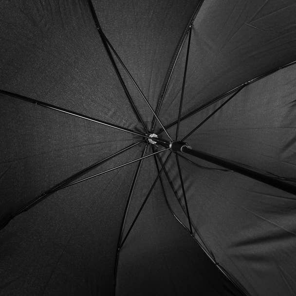 Petite Black Umbrella with Leopard Print Border