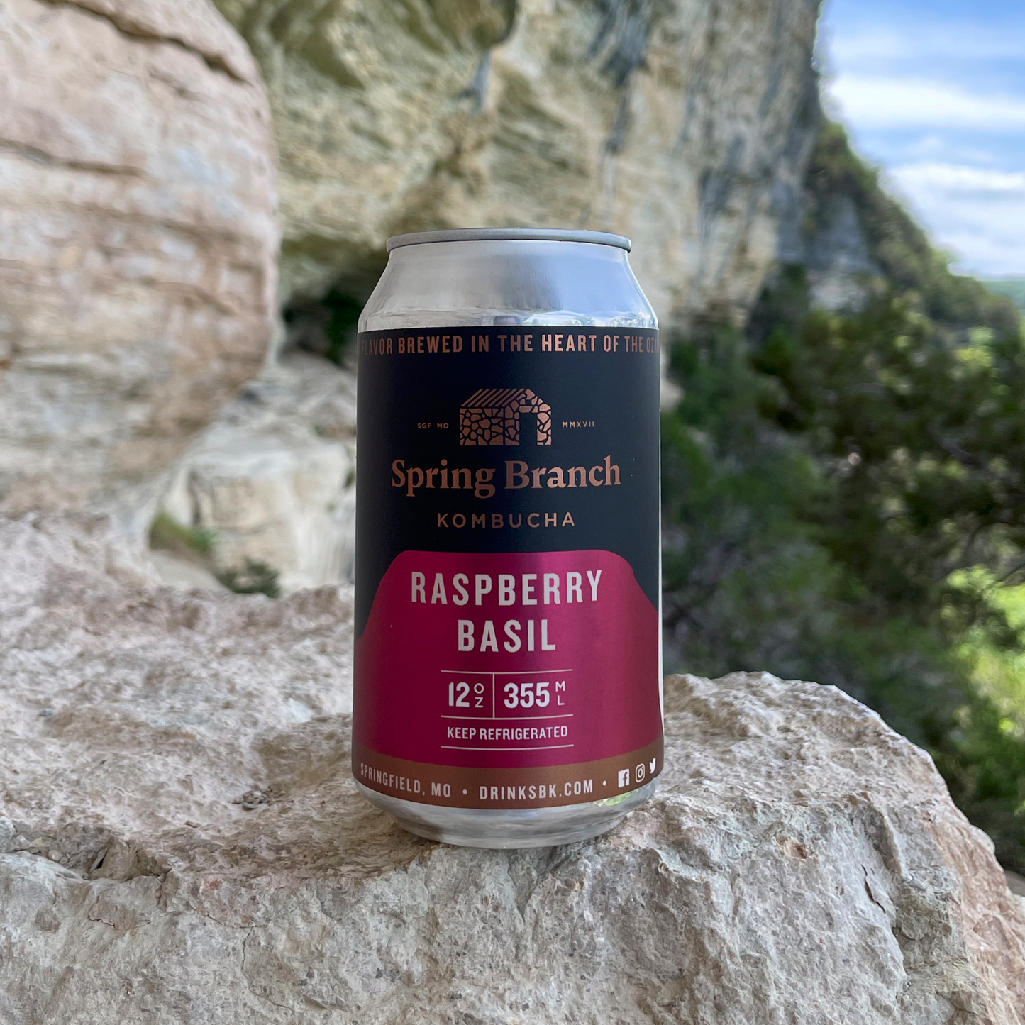 Raspberry Basil Kombucha, 12 oz