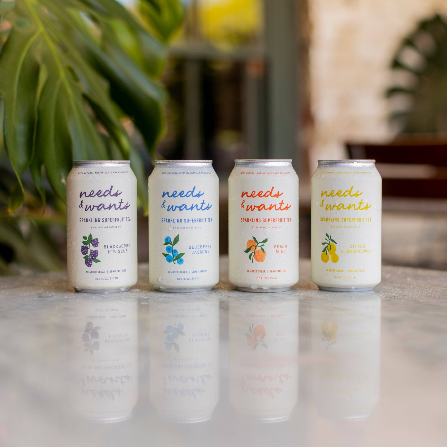 Needs & Wants Tea - Peach Mint (Case of Twelve)