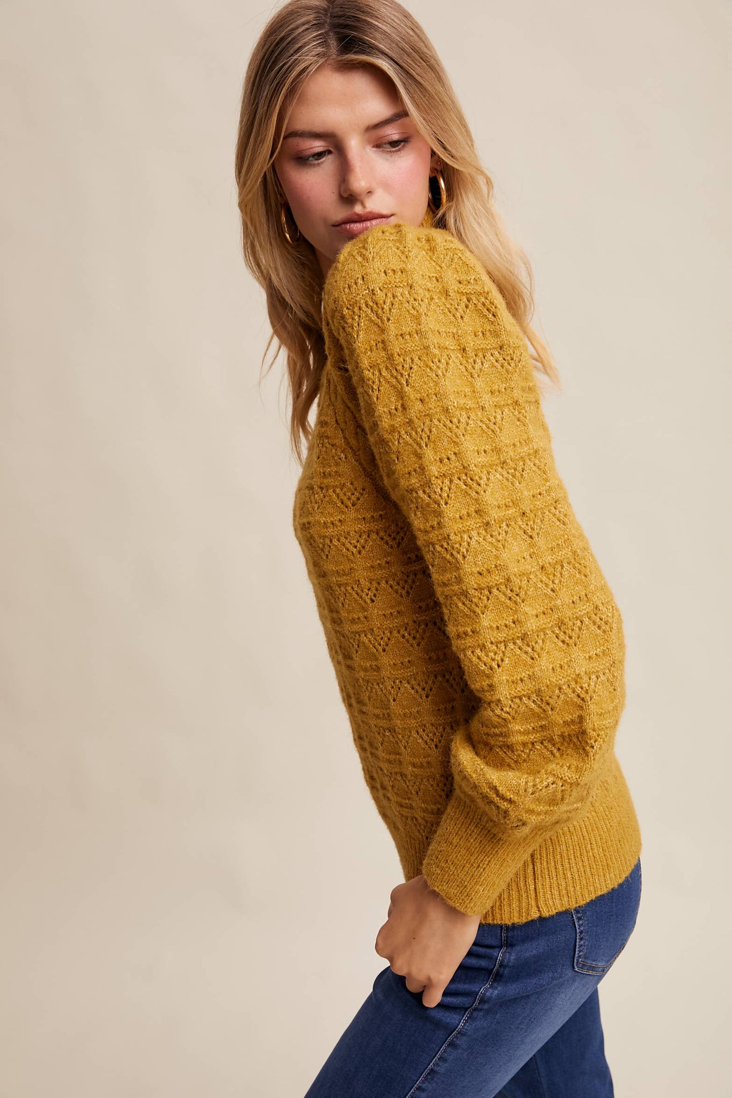 Pointelle Puff Sleeve Sweater