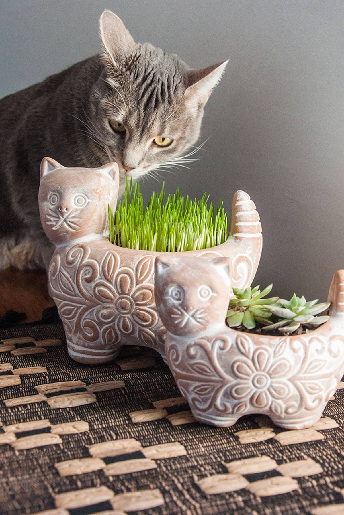 Garden Kitty Planter