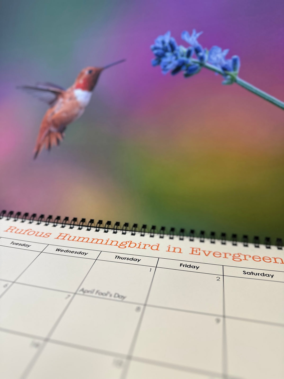 2027 Wildlife of Colorado Calendar