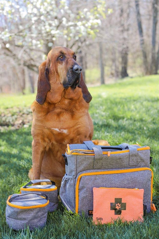 Dog Travel Bag