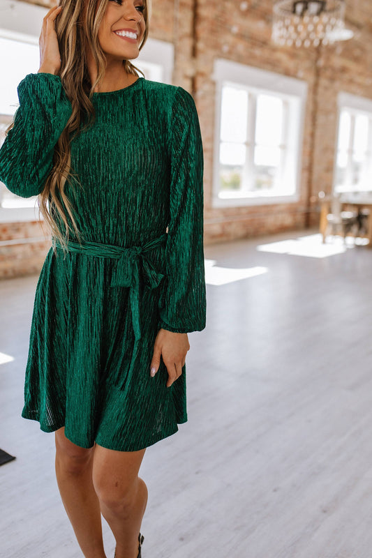 Meri Crinkle Velvet Dress