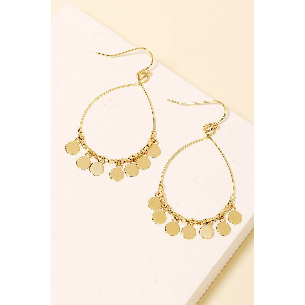 Coin Fringe Tear Drop Earrings