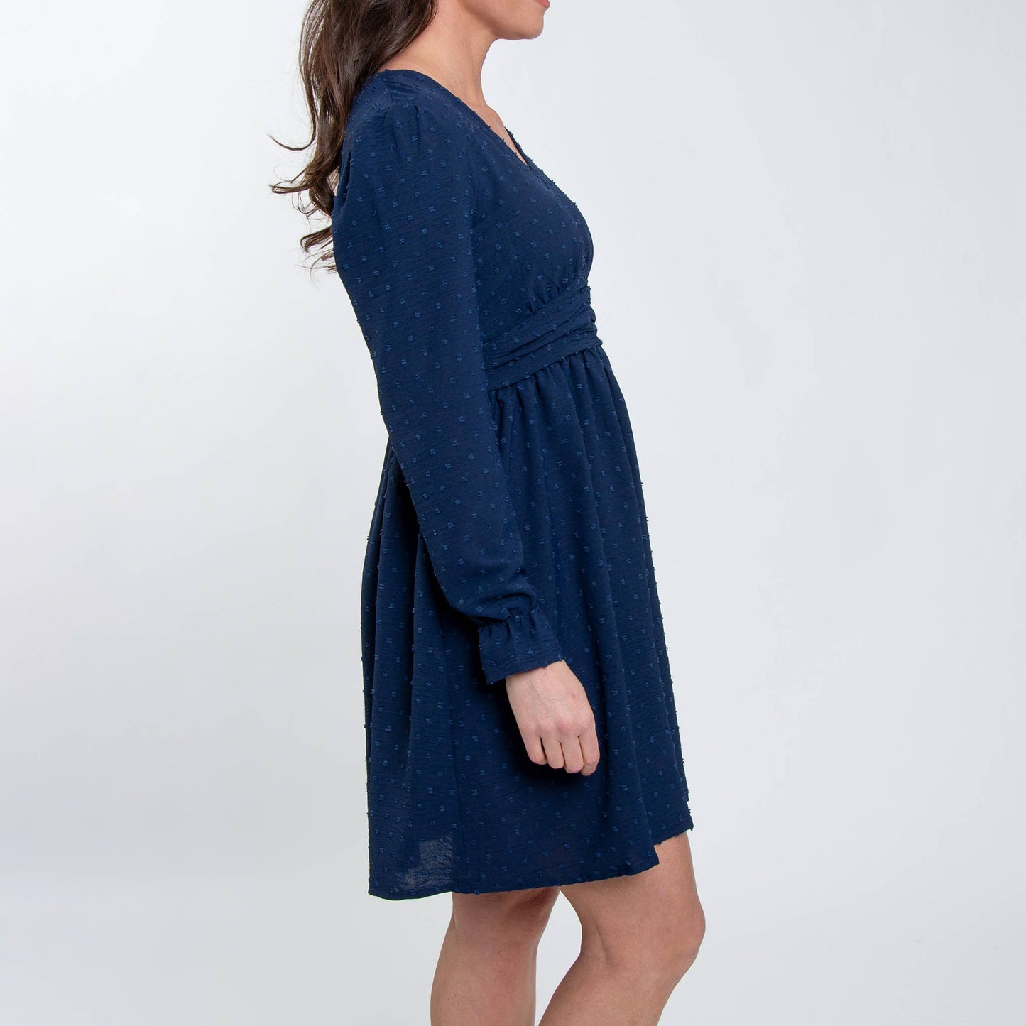 Swiss Dot Long Sleeve Dress